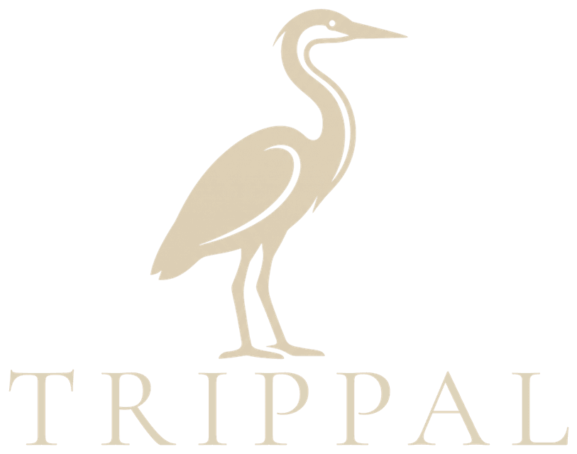 TRIPPAL — Custom Travel Photo Albums, Posters & Map Frames
